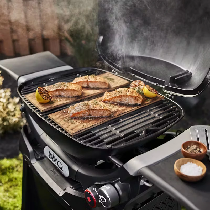 Weber Q 2800N+ Met Onderstel