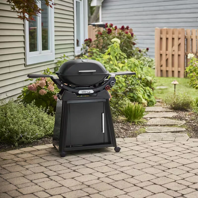 Weber Q 2800N+ Met Onderstel