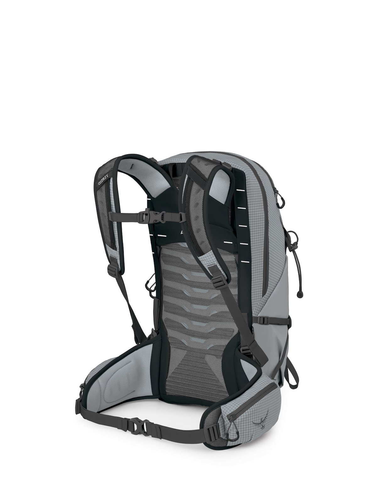 Osprey Talon Pro 20 - Silver Lining